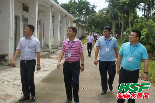 万宁市王德海最新取向
