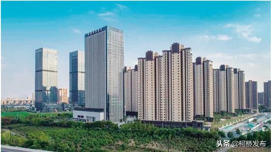 杭州湾新区人才网最新