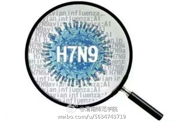 陕西省h7n9最新情况
