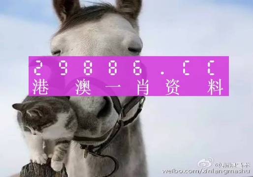 2025年一肖一码一中一特,精选资料解析大全