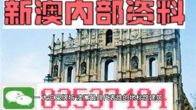 新澳门精准资料大全管家资料,精选资料解析大全