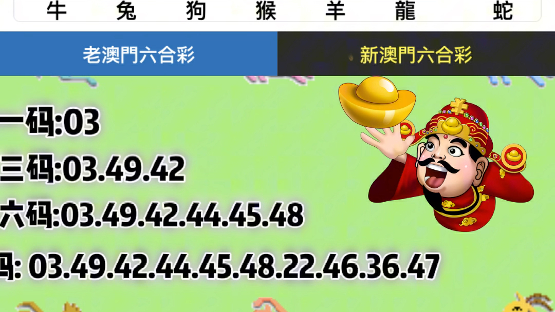 新澳门六开奖结果资料查询,精选资料解析大全