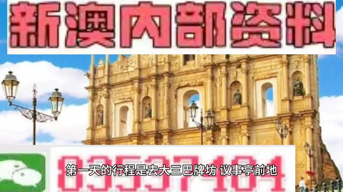 新澳门三期内必出生肖,精选资料解析大全