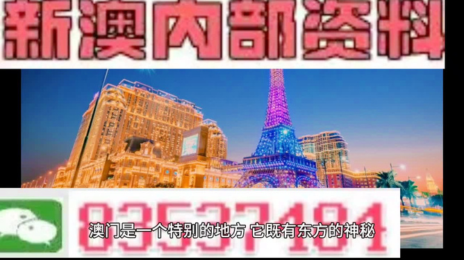 新澳门今期特马,精选资料解析大全