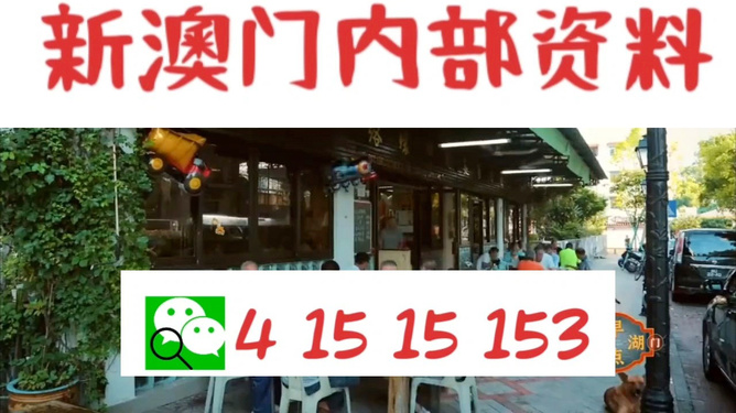 今晚9:30新澳门开什么,精选资料解析大全