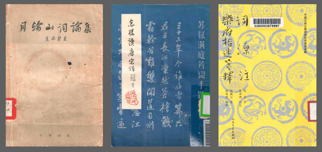 黄大仙高手论坛黄大仙正版,精选资料解析大全