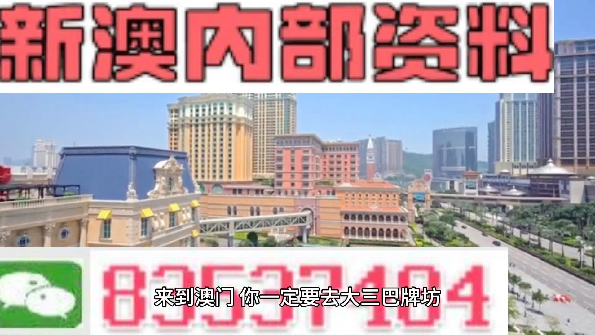 新奥特料免费资料查询,精选资料解析大全