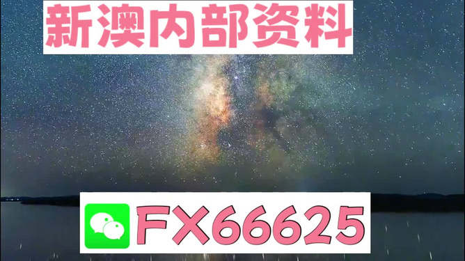 新澳天天彩免费资料2025老,精选资料解析大全