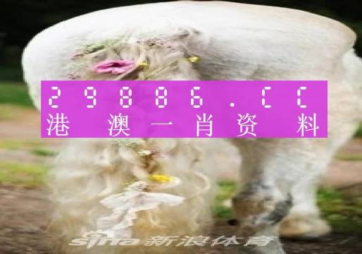 22324濠江论坛一肖一码,精选资料解析大全