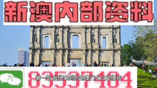澳门天天免费精准大全,精选资料解析大全