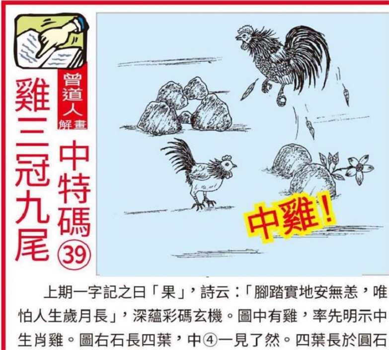 新澳2025天天正版资料大全,精选资料解析大全