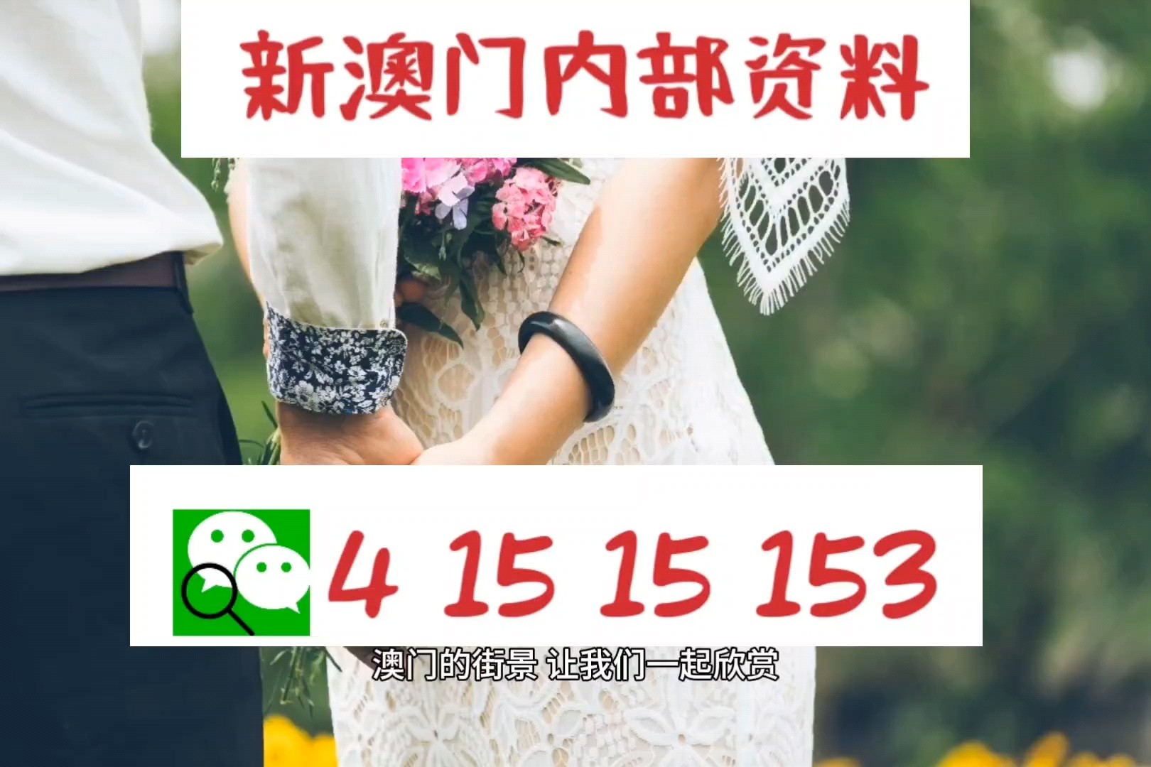 澳门四不像正版最新版本,精选资料解析大全