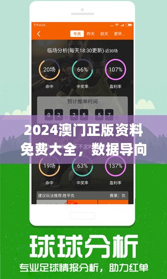 新澳天天免费资料查询,精选资料解析大全