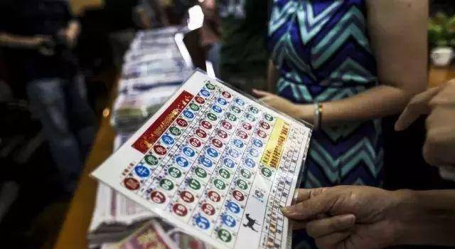 三码中特期期准免费,精选资料解析大全
