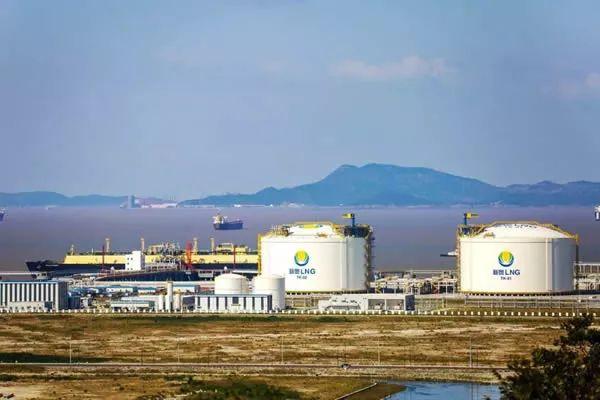 2025新奥天天资料免费大全,精选资料解析大全