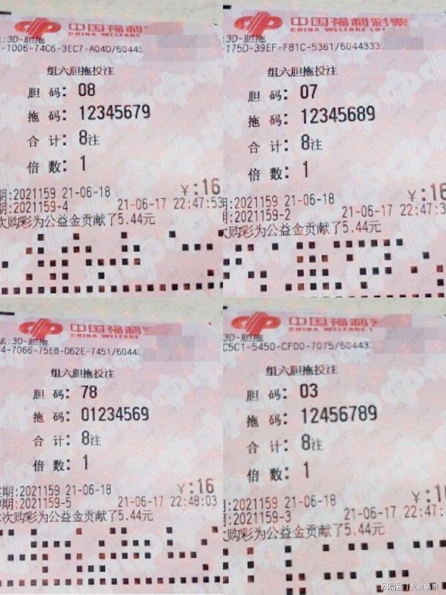 澳门一肖100准免费,精选资料解析大全