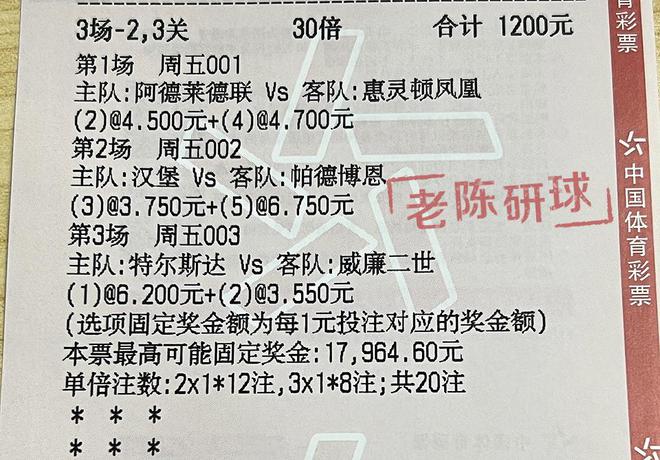 香港今晚开特马+开奖结果66期,精选资料解析大全