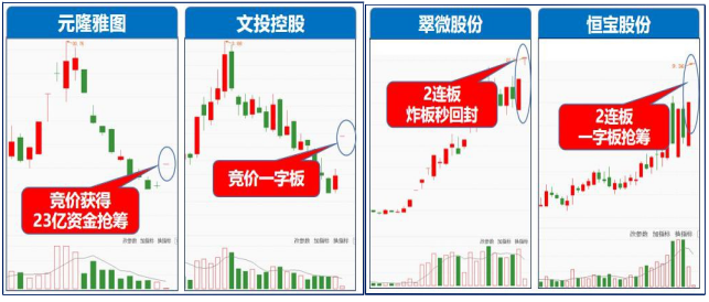 2025新澳最精准免费资料,精选资料解析大全