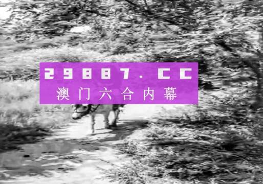 494949最快开奖结果奥门,精选资料解析大全