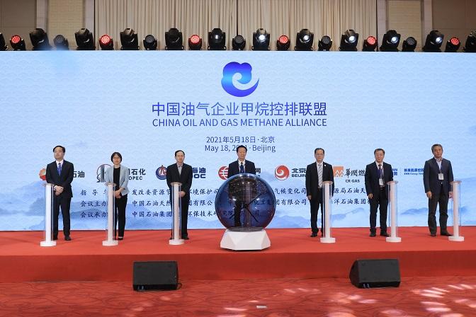 新奥2025年免费资料大全汇总,精选资料解析大全