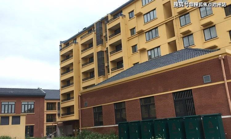 澳门精准三肖三期内必开信息,精选资料解析大全
