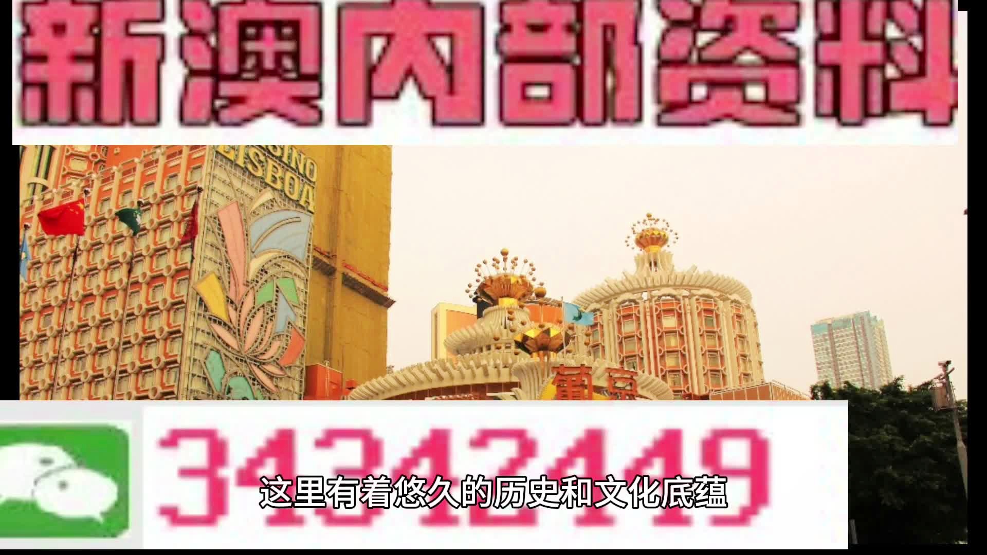 新澳门资料精准网站,精选资料解析大全