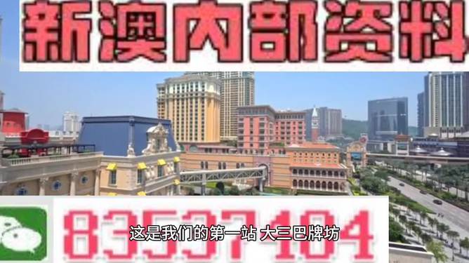 澳门正版精准免费大全,精选资料解析大全
