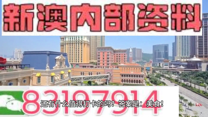 204年澳门免费精准资料,精选资料解析大全