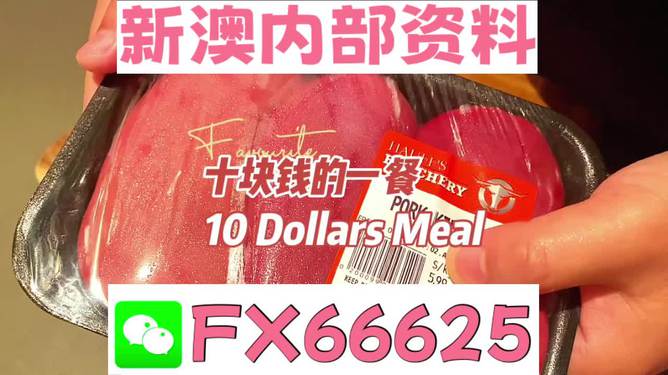 新澳精准资料免费提供4949期,精选资料解析大全