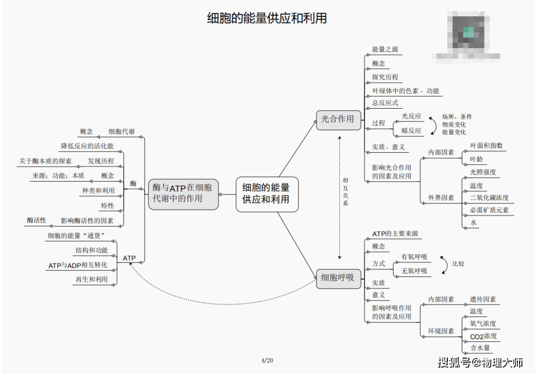 刘伯温三期必出一期白小姐,精选资料解析大全