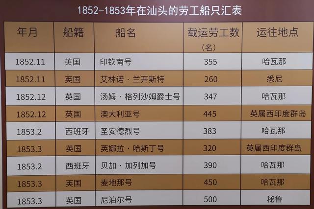 2025香港历史开奖结果查询表最新,探索未来，2025年香港历史开奖结果查询表最新动态