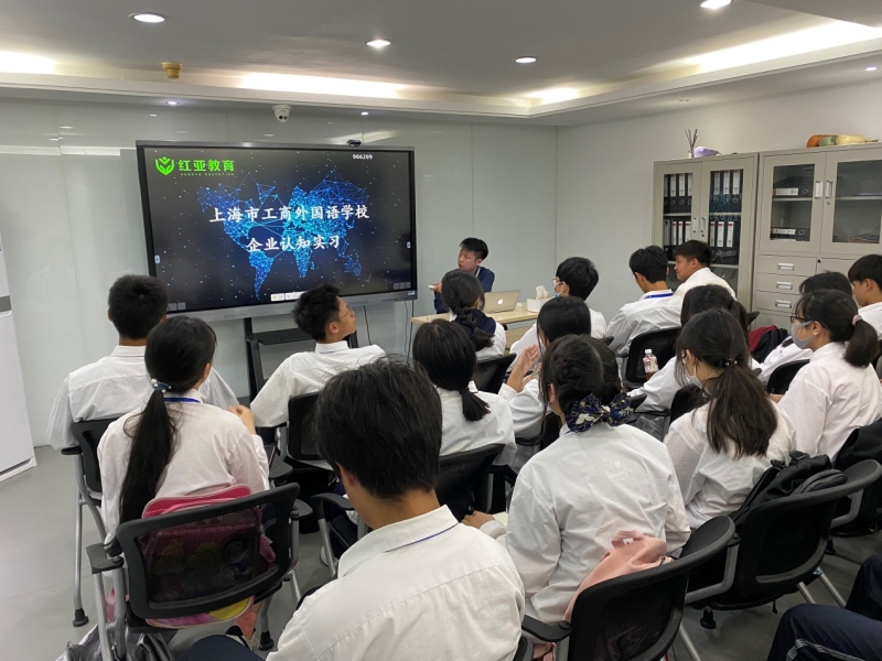 2025十二生肖49个码,探索未来，2025年十二生肖与49个幸运码的奇妙结合