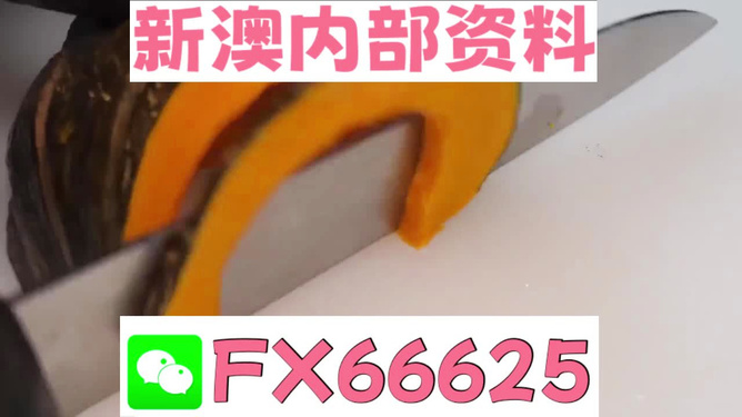 新澳门精准资料大全管家婆料,澳门精准资料大全，管家婆料，揭秘与风险警示