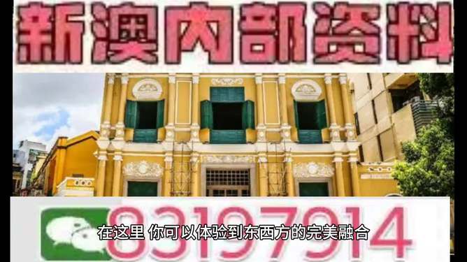 新澳门今晚开特马结果,澳门今晚特马揭晓，幸运与机遇的碰撞