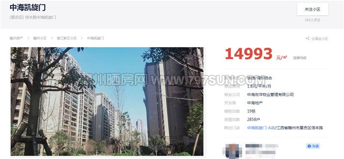 新奥门免费资料大全在线查看,探索新奥门，免费资料大全在线查看的奇妙之旅