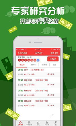 新澳门彩天天开奖结果查询,澳门彩天天开奖结果查询，揭秘新澳门的幸运密码