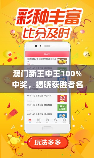 新澳门王中王王中王免费,澳门王中王，免费游戏背后的真相与风险