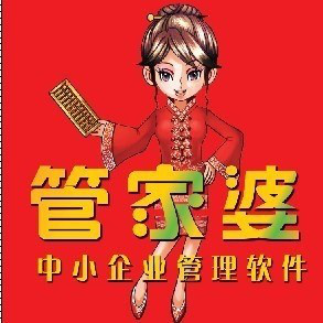 管家婆2025年正版资料大全,管家婆2025年正版资料大全，企业管理的智慧之选