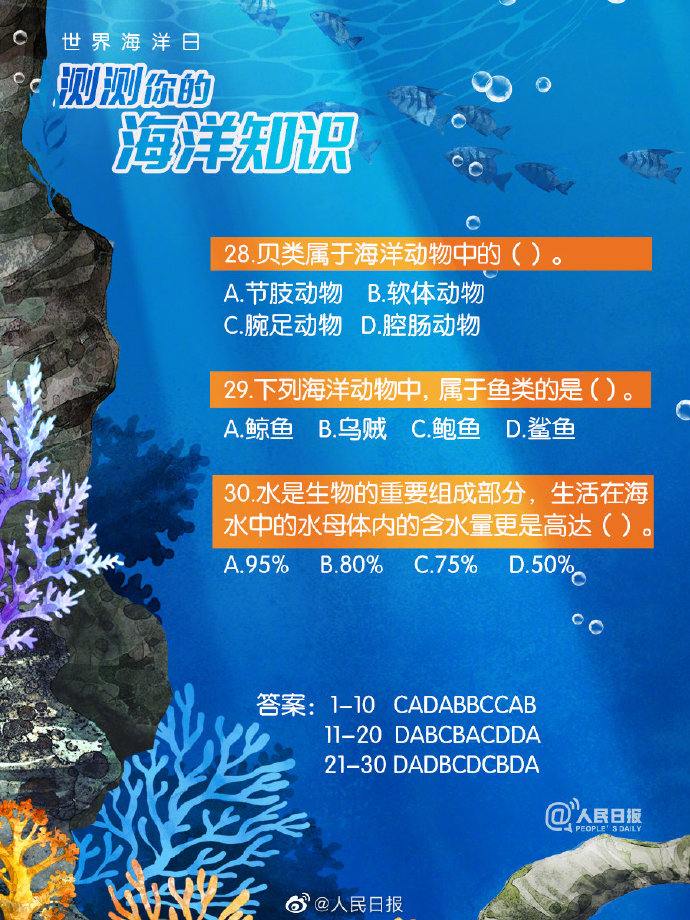 正版资料全年资料大全,探索知识的海洋，正版资料全年资料大全的无限价值