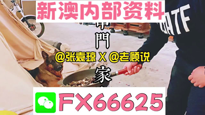 新澳门精准资料大全管家婆料,澳门精准资料大全与管家婆料，揭开赌博背后的真相