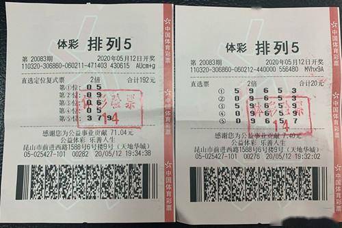 港彩二四六天天好资料,港彩二四六天天好资料，揭秘香港彩票的奥秘与智慧