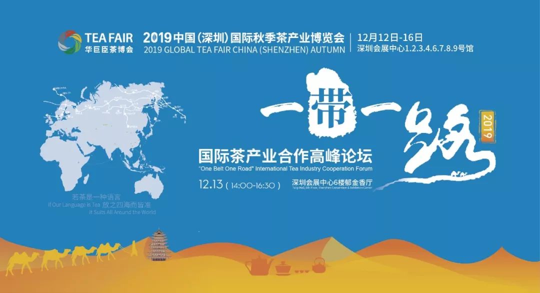 新澳资料大全正版2025,探索未来，新澳资料大全正版2025的全面解析