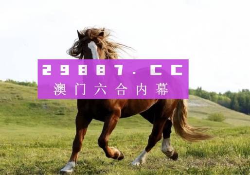 澳门六开奖结果,澳门六开奖结果，揭秘背后的概率与机遇