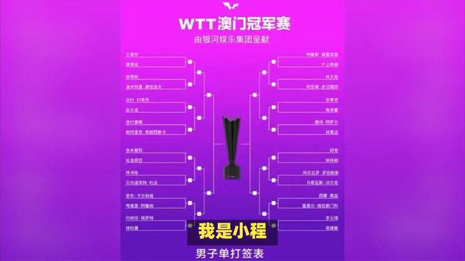 新澳门今期特马,澳门新彩今期特马，揭秘澳门彩的魅力与趋势