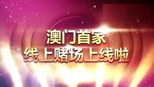 2004新澳门天天开好彩,2004新澳门，天天开好彩的辉煌篇章