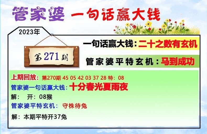 澳门一肖一码100管家婆9995,澳门一肖一码100管家婆9995，揭秘与警示