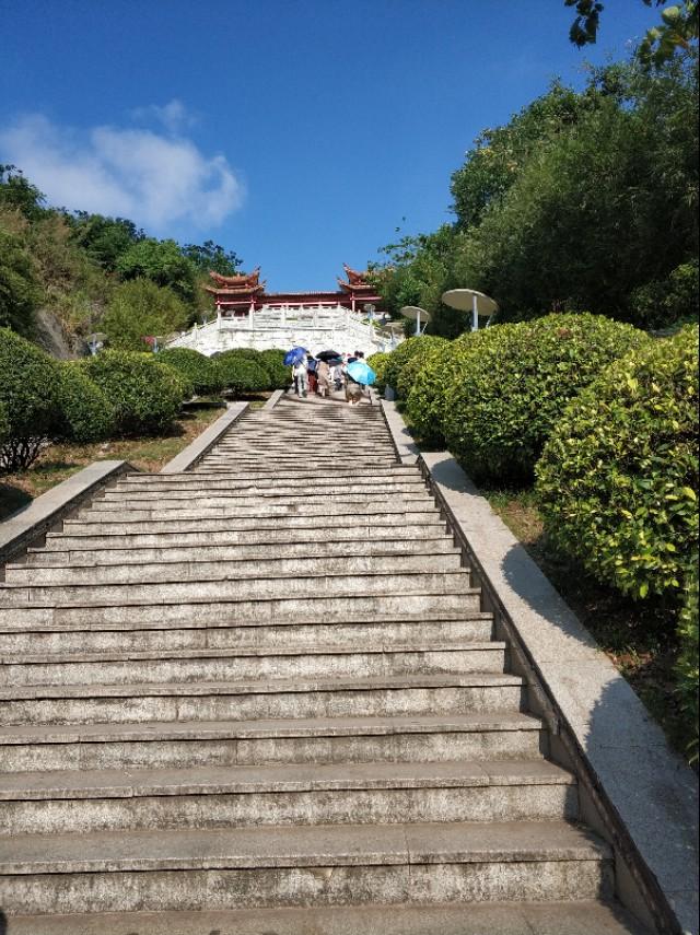 刘伯温精准三期内必开196,揭秘刘伯温精准三期内必开196的真相，理性对待彩票与预测