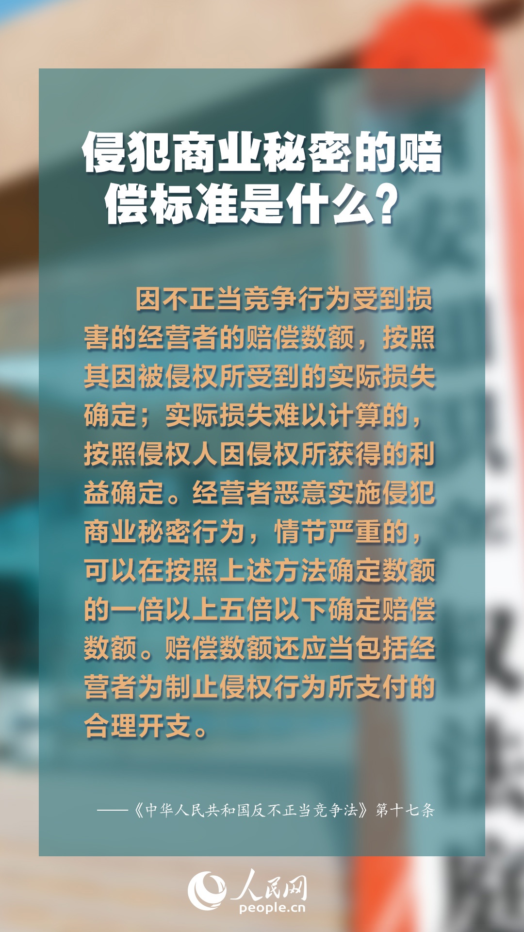 正版资料全年资料大全4949,探索知识海洋，解锁正版资料全年资料大全4949的无限价值