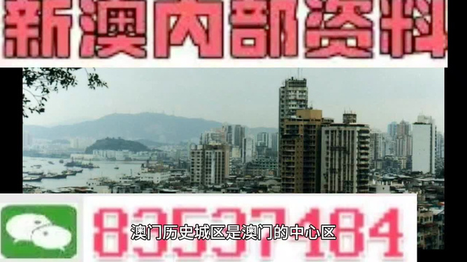 204年澳门免费精准资料,揭秘204年澳门免费精准资料，理性看待彩票与信息真伪