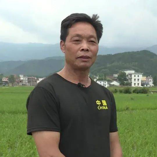 关于新澳门正版免费资料的查询,澳门正版免费资料查询指南，全面解析与安全指引